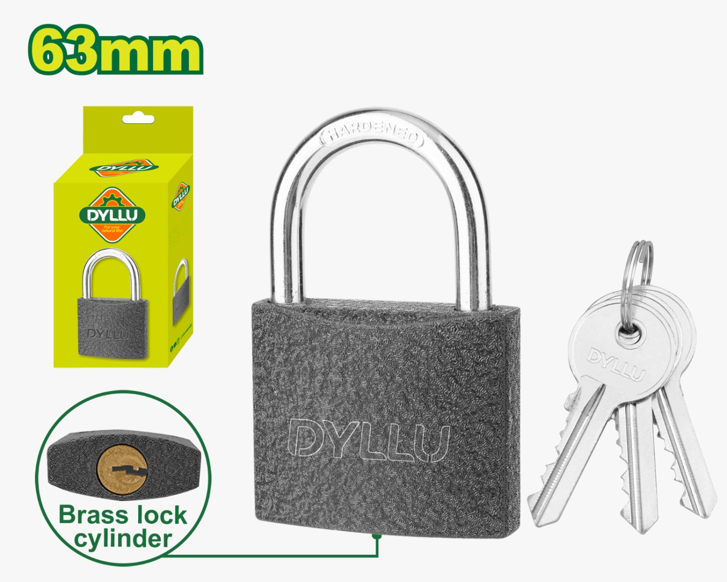 Iron padlock